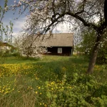 polski dom na wsi jako przykład majątku do podziału w czasie rozwodu uk